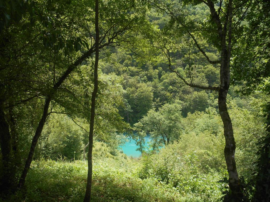 ホテル Rafting Camp Tara 87 Hum エクステリア 写真