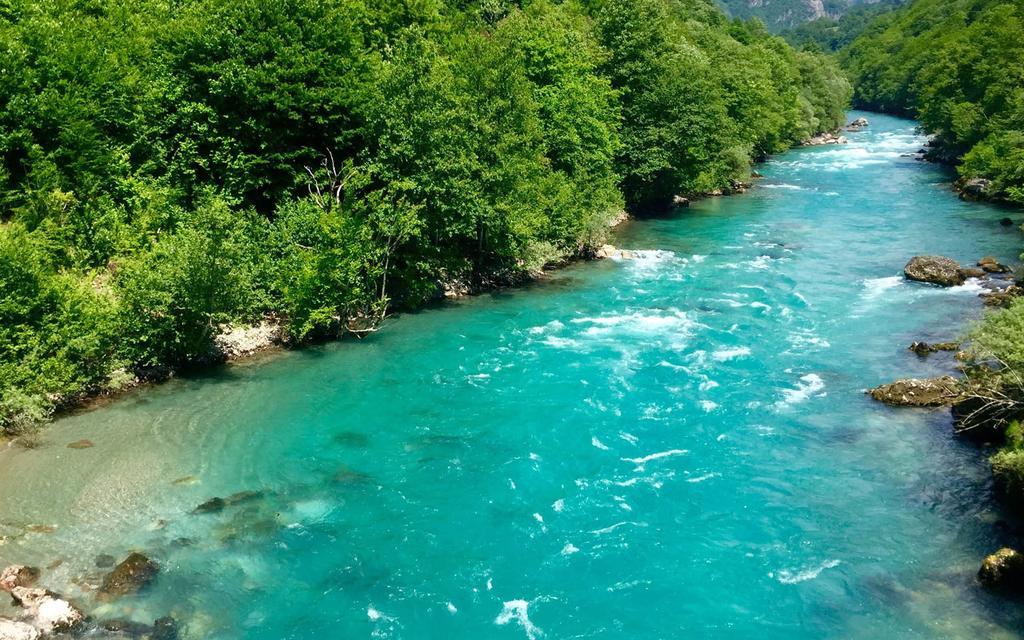 ホテル Rafting Camp Tara 87 Hum エクステリア 写真