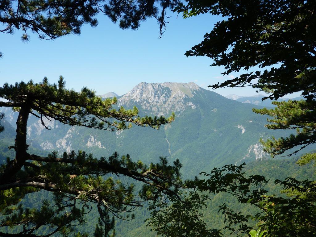 ホテル Rafting Camp Tara 87 Hum エクステリア 写真