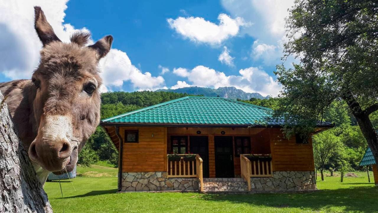 ホテル Rafting Camp Tara 87 Hum エクステリア 写真