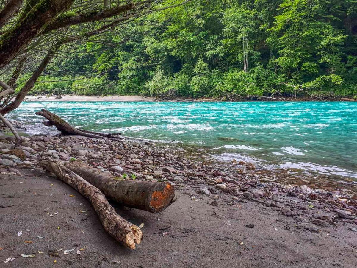 ホテル Rafting Camp Tara 87 Hum エクステリア 写真
